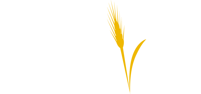 Qualivita