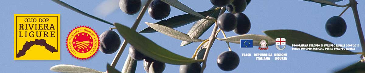 home_olives2.jpg