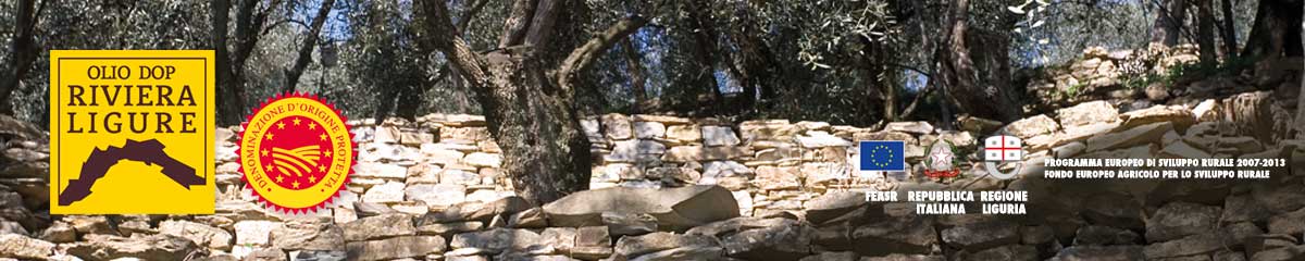home_walls.jpg